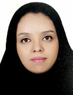 نیما صادق زاده